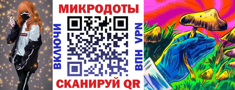 Псилоцибиновые грибы GOLDEN TEACHER  OMG вход  Кулебаки  купить наркоту 