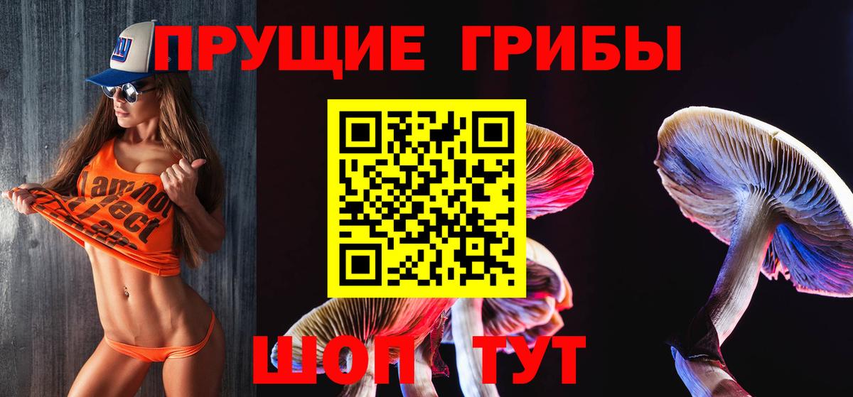 Кулебаки  Псилоцибиновые грибы Psilocybine cubensis  Вход с VPN 
