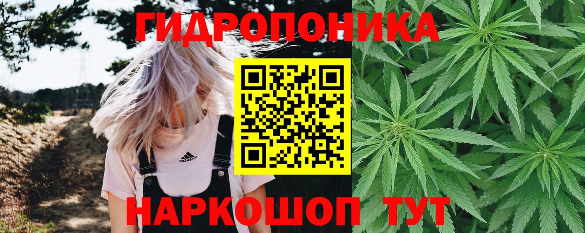 Канабис конопля  Конопля план  Шишки марихуана семена  Кулебаки  Вход с VPN 